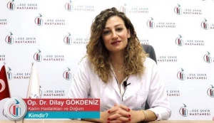 Op. Dr. Dilay Gökdeniz Kimdir?